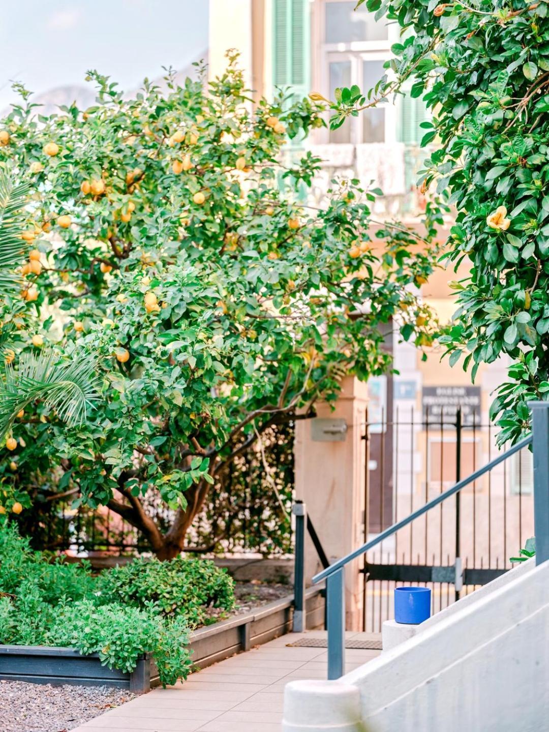 Hotel Lemon Mentona Zewnętrze zdjęcie